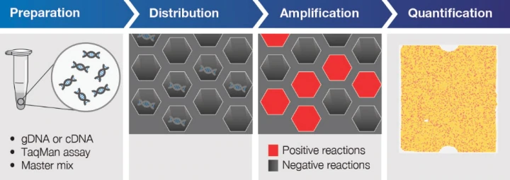 數(shù)字PCR技術原理 數(shù)字PCR技術原理