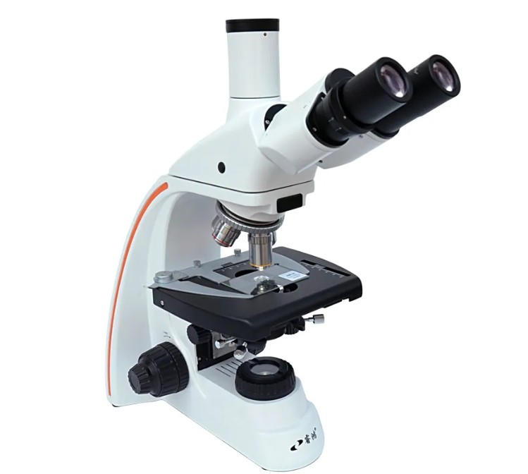 偏光顯微鏡的工作原理 偏光顯微鏡的工作原理