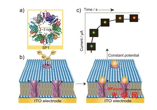 利用單納米粒子散射光譜技術(shù)實(shí)時(shí)追蹤生物分子 利用單納米粒子散射光譜技術(shù)實(shí)時(shí)追蹤生物分子