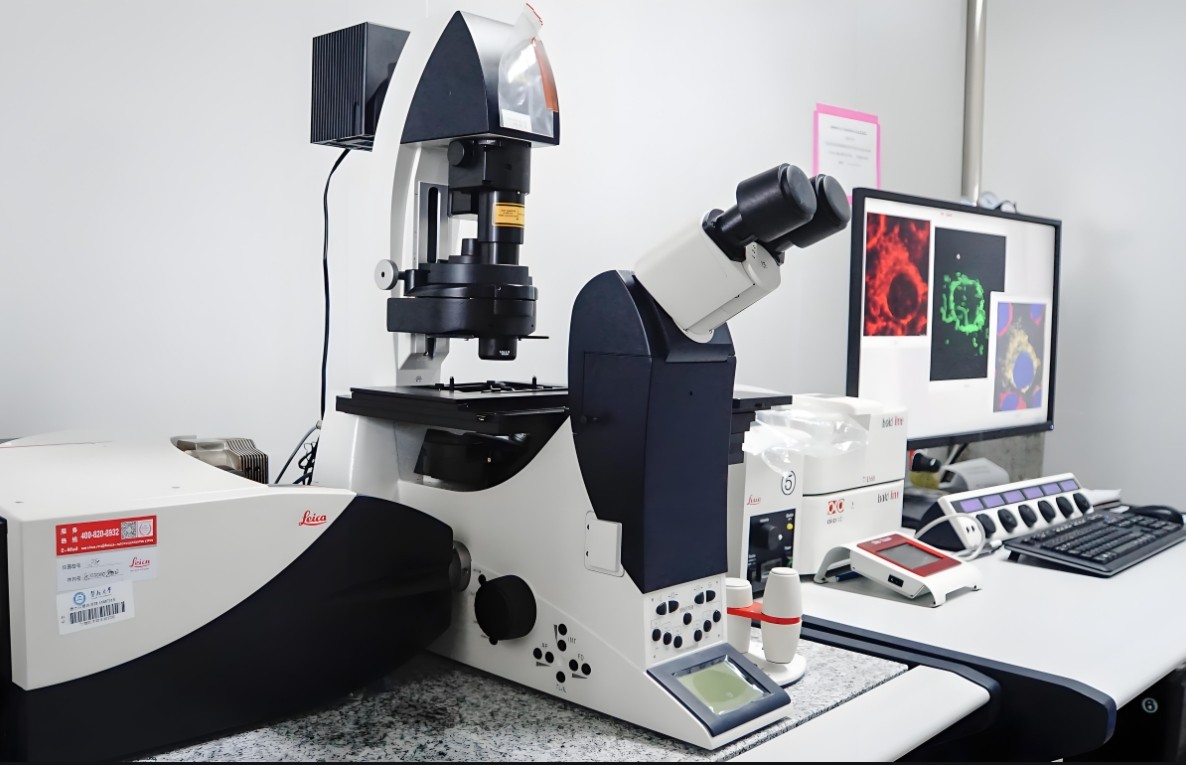 激光共聚焦顯微鏡