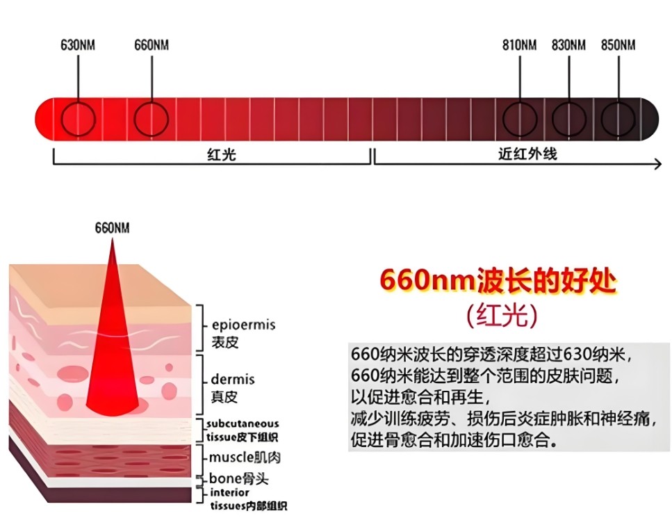 660nm對(duì)人體皮膚的作用