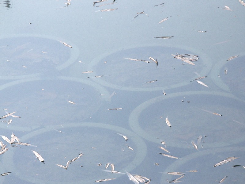 濾光片 偏振鏡光學(xué)原理和在機(jī)器視覺中的應(yīng)用